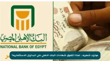 عوائد شهرية.. لماذا تتفوق شهادات البنك الأهلي على البدائل الاستثمارية؟